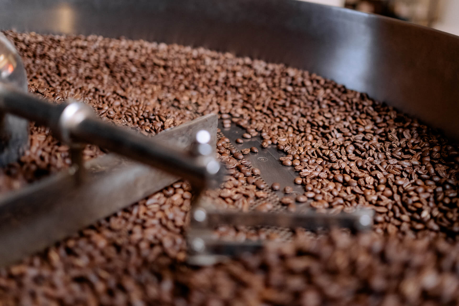 Kaffee-Tasting - Ein Ausflug in den KaffeeHimmel
